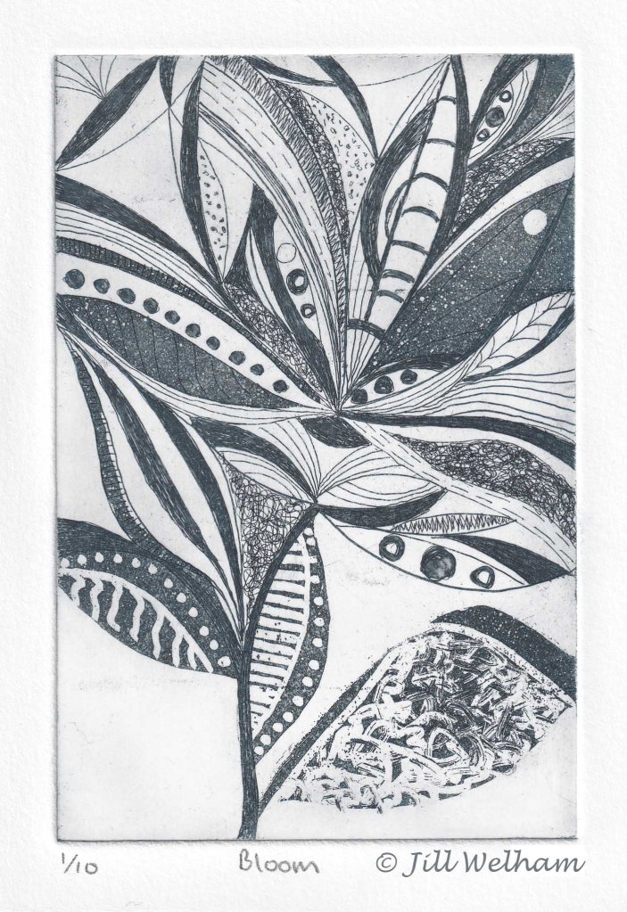 Abstract design of a stylised flower Aquatint etching printed in blue ink. Limited edition intaglio etching by Jill Welham. Hand pulled zinc plate etching.