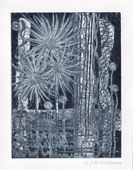 Aquatint abstract etching of flowers in a garden. Limited edition intaglio print by Jill Welham. Hand pulled zinc plate etching printed in blue ink.