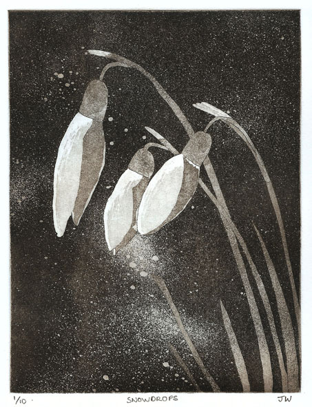 Aquatint abstract etching of three snowdrop flowers. Limited edition intaglio print by Jill Welham. Hand pulled zinc plate etching printed in sepia ink.