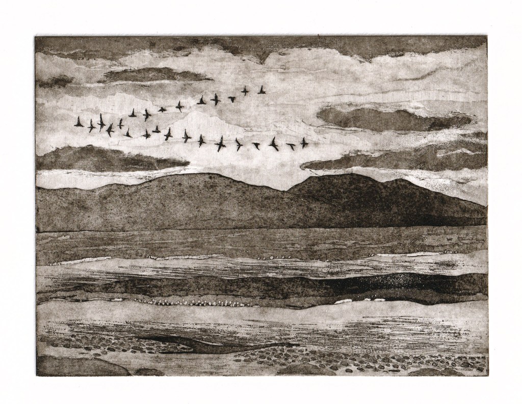 Original aquatint etching of a skein of geese flying over the Moray Firth in Scotland. Minimalist stylised design. Panoramic format intaglio print. Printed in sepia ink, created by Jill Welham