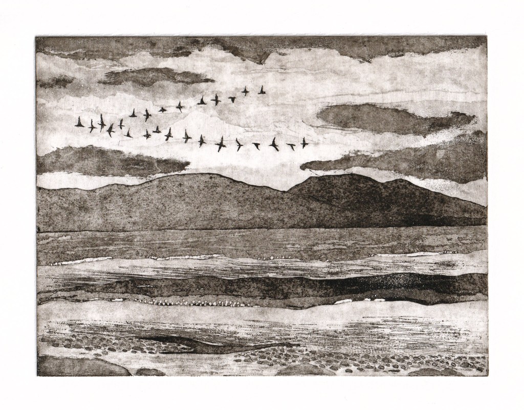 Original aquatint etching inspired by a skein of geese flying over the Moray Firth in the Scottish Highlands. Minimalist stylised design. Panoramic format intaglio print. Printed in sepia ink, created by Jill Welham